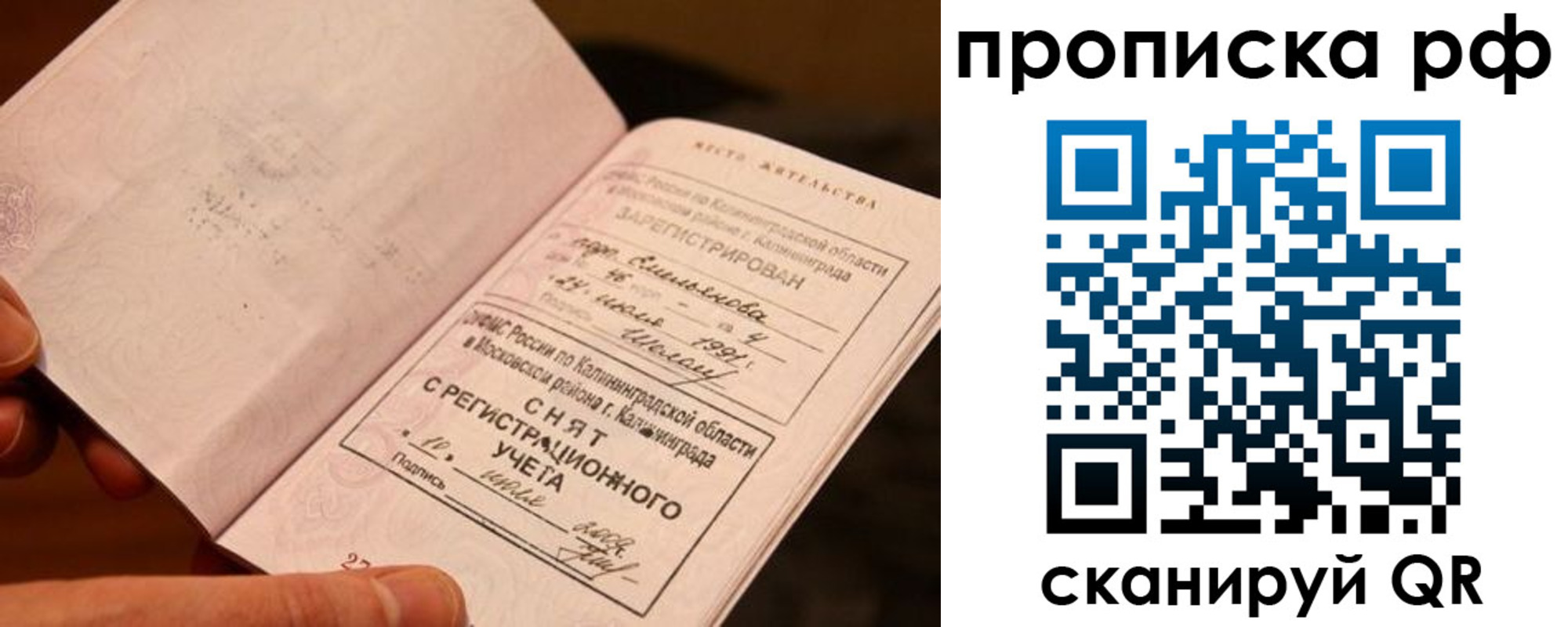 прописка гарантия в Лыткарино